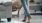 young lady walking barefoot on carpet